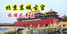 老色皮成人激情视频中国北京-东城古宫旅游风景区